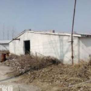 现有场地40000平方可出租内含8间15mx100m大小的厂