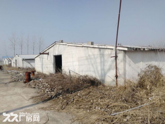 现有场地40000平方可出租内含8间15mx100m大小的厂房