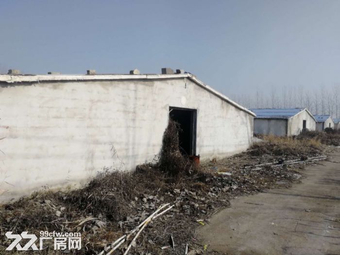 现有场地40000平方可出租内含8间15mx100m大小的厂房-图3