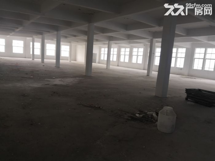 泗洪县双沟镇厂房出租-图2
