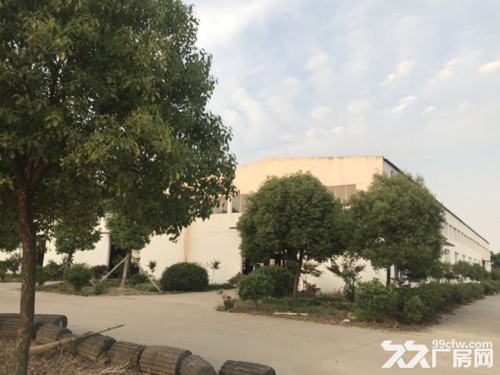 标准化厂房出租 环境优美