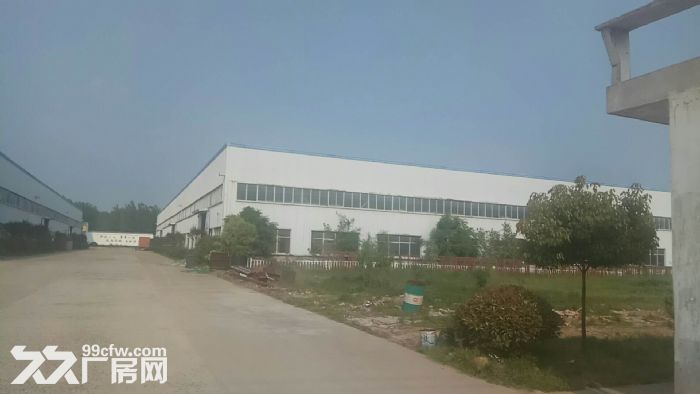 江苏泗阳标准化厂房低价出租-图2