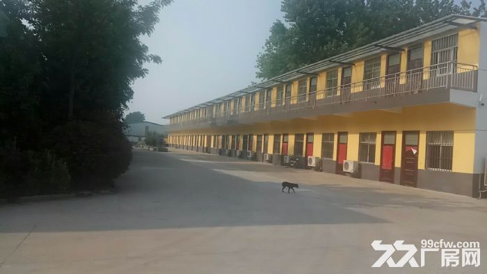江苏泗阳标准化厂房低价出租-图4