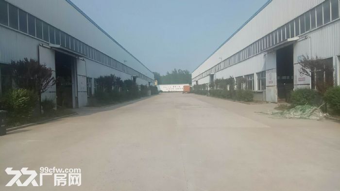 江苏泗阳标准化厂房低价出租-图3
