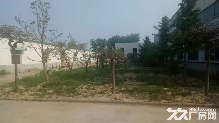 江苏泗阳标准化厂房低价出租-图5